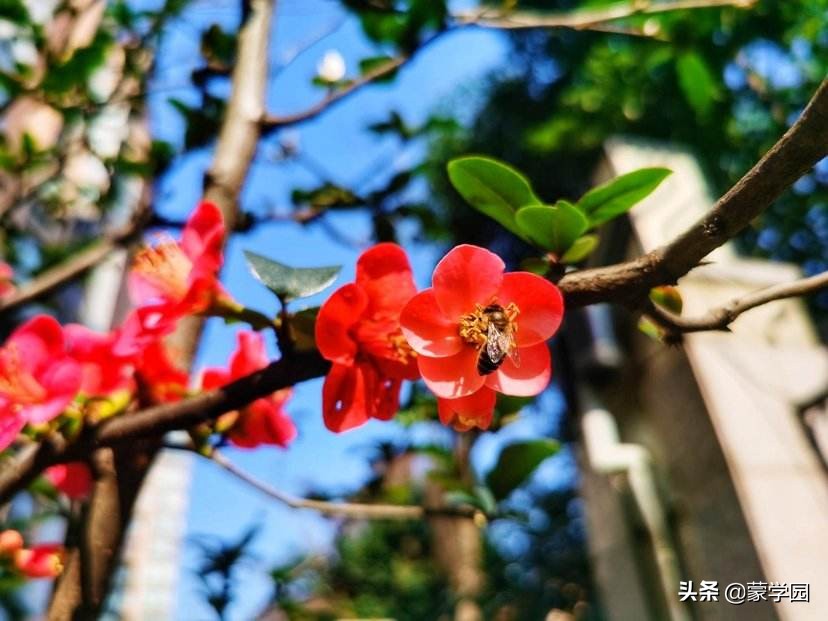 形容山水风景优美的成语诗句,100个风景优美成语