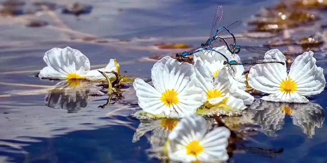 疫情防控取得阶段性胜利有序恢复,疫情胜利在望