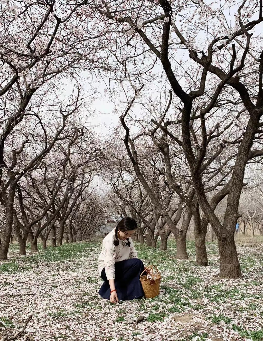 丈夫再婚，恋人回归家庭，这个女子该怎么办？