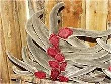 澳洲入境最新规定留学生,澳洲入境防疫新规