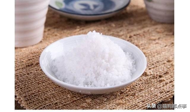 为什么说狗狗不能吃花生,狗狗偶尔吃点猫粮好不好