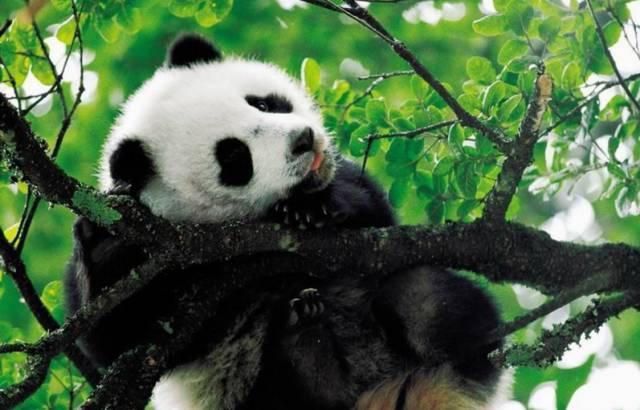 西安附近好玩放松的地方,五一放假西安周边好玩地方是哪里