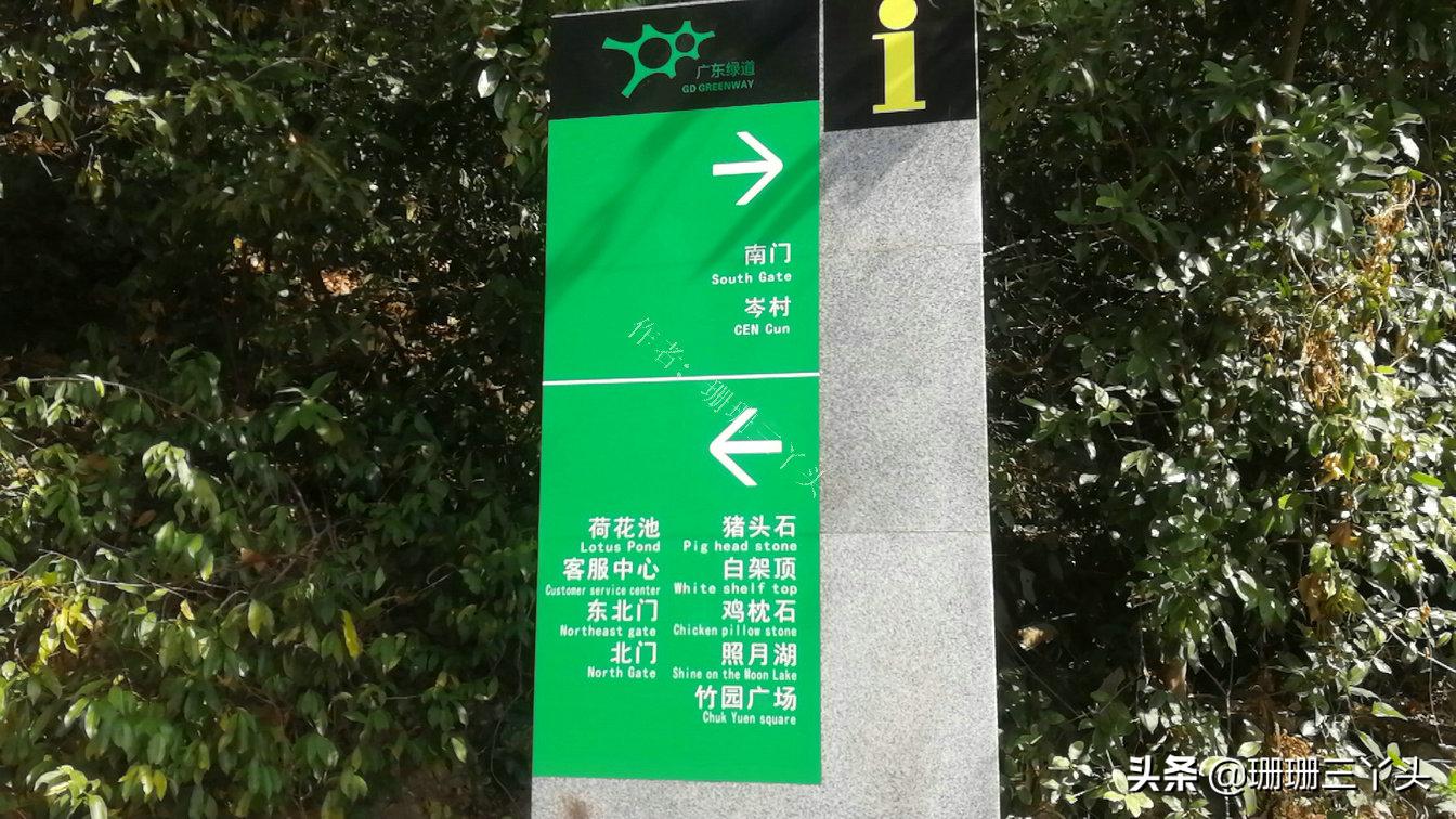 广州有座像老虎的山,广州有一座山是圆形的