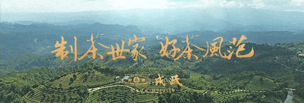 2019博君熟茶500克,2020年博君砖1000g熟茶