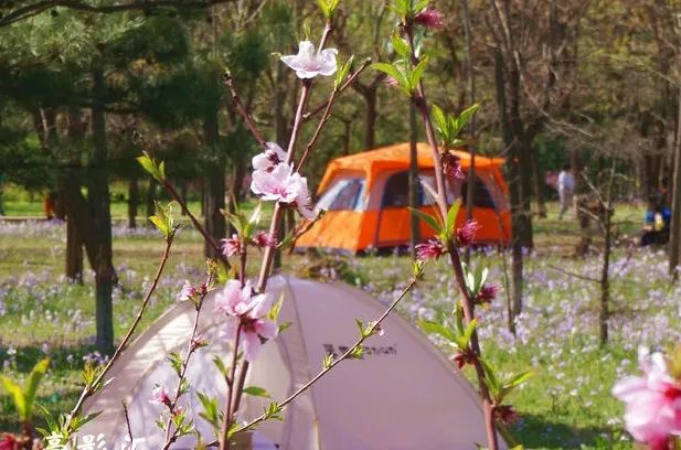 北京戒台寺郊野公园,北京燕山东岭郊野公园