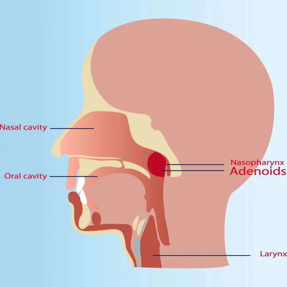 鼻痒流鼻涕眼睛痒,过敏性鼻炎流清鼻涕用什么药有效