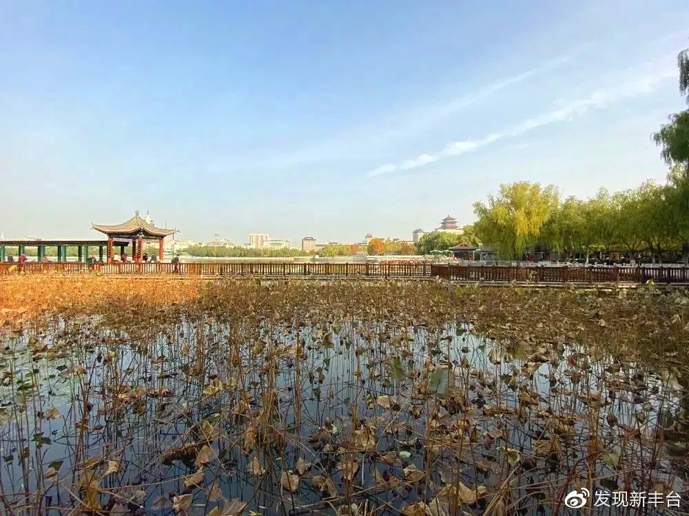 丰台赏秋景最好的地方,丰台赏秋好去处