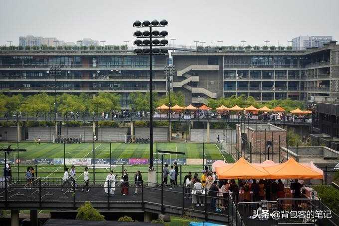 成都网红拍照打卡地景点推荐,成都打卡网红地拍照熊猫