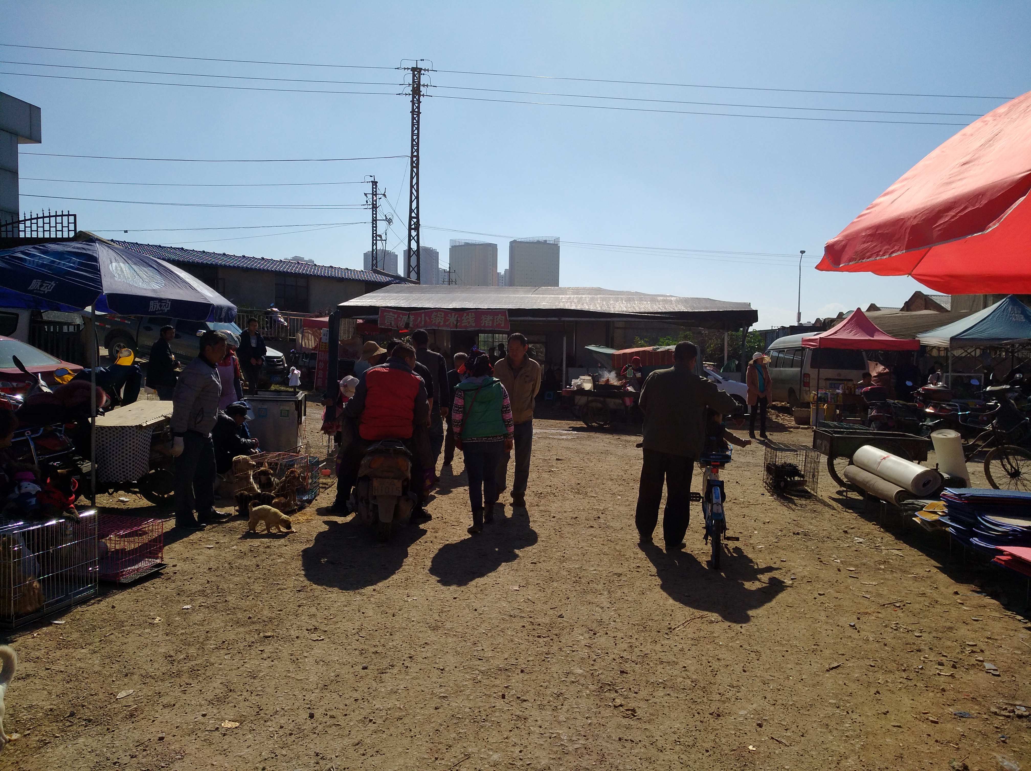 狗市是露天市场吗,狗市一般在哪