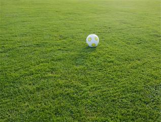 足球运动员最好多吃哪些东西,足球运动员都吃什么