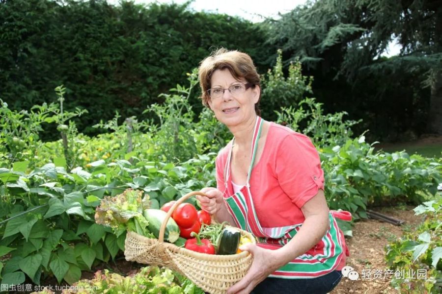 八个最赚钱的小本创业生意,最赚钱的5个创业项目生意