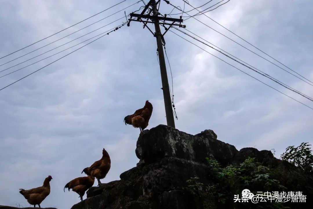 行走的风景岳池,行走的“风景”