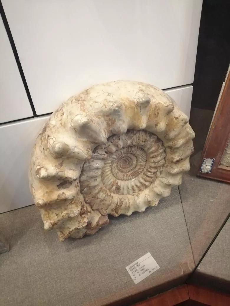 去天津蓟州旅游攻略,跟着书本去旅行蓟州