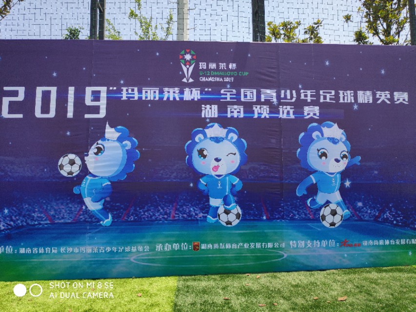 玛丽莱杯2021年湖南赛区,玛丽莱杯决赛