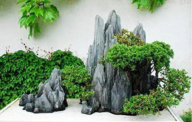 用根雕边角废料拼凑简单山水盆景,山水盆景制作基础方法入门