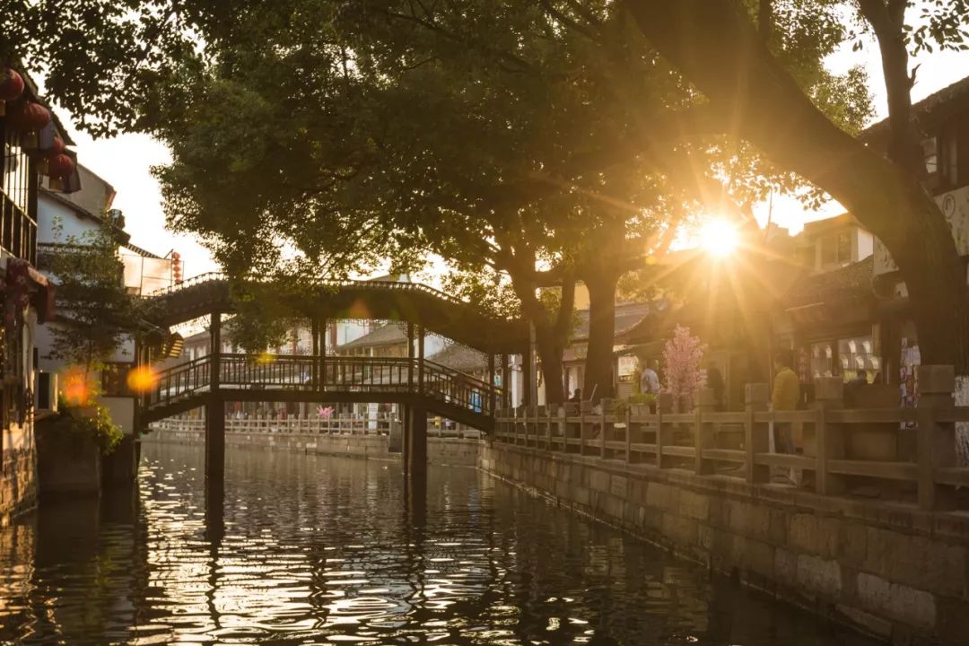 上海水乡古镇朱家角如画般的美景,枫泾古镇朱家角古镇哪个值得去玩