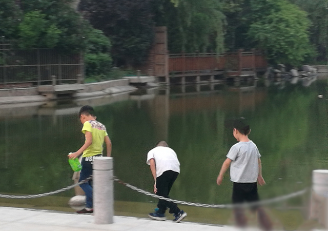 不法分子砍杀儿童案例,作案手法残忍的孕妇可以判死刑吗