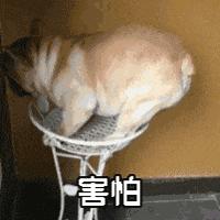 护肤品牌死对头,护肤品的十大误区