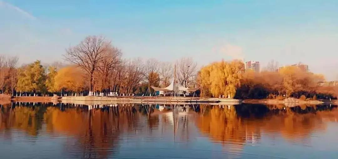 沈阳理工大学辽宁工程技术大学,沈阳理工大学专科院校