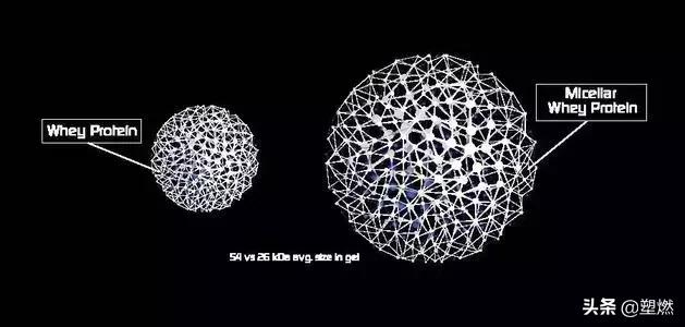 健身喝乳清蛋白还是酪蛋白,健身补剂套餐白金乳清蛋白粉