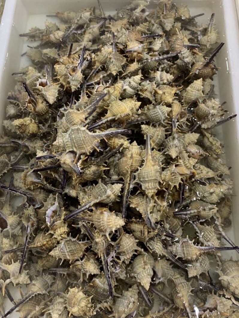 北海干货海鲜批发市场哪个便宜,北海菜市场买海鲜哪个最新鲜