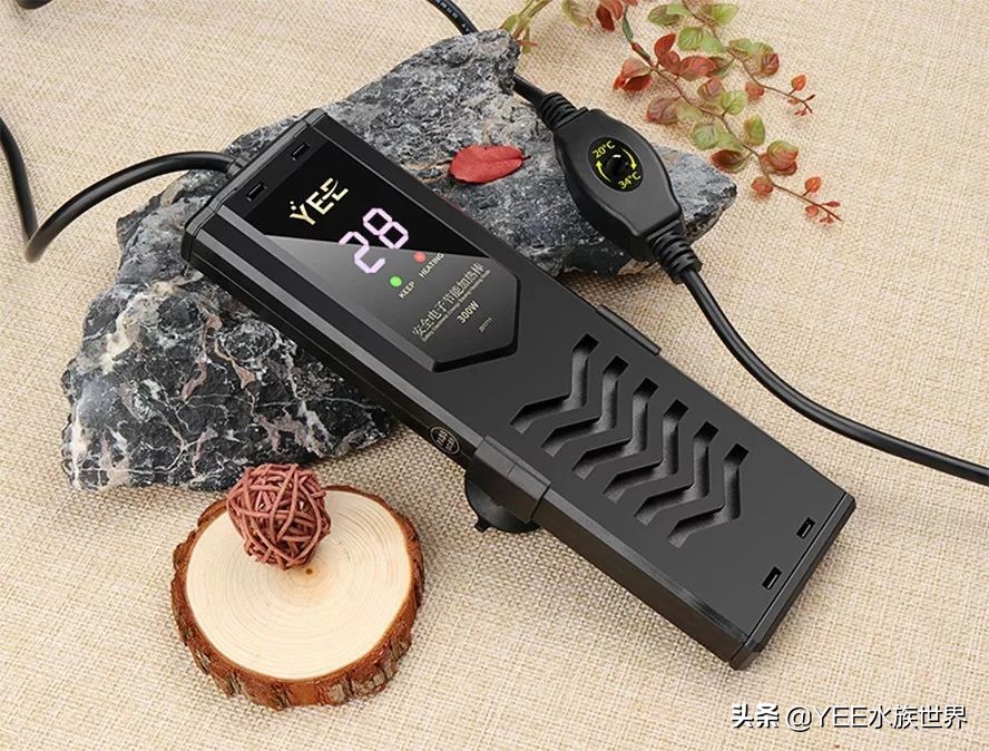 配一套一米的鱼缸多少钱,弄一个鱼缸大概需要多少钱