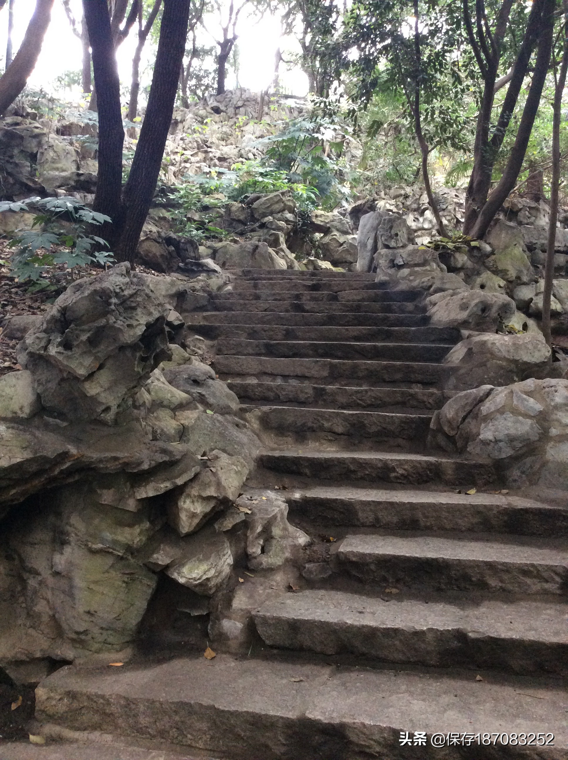 上海普陀山公园,普陀区长风公园在哪