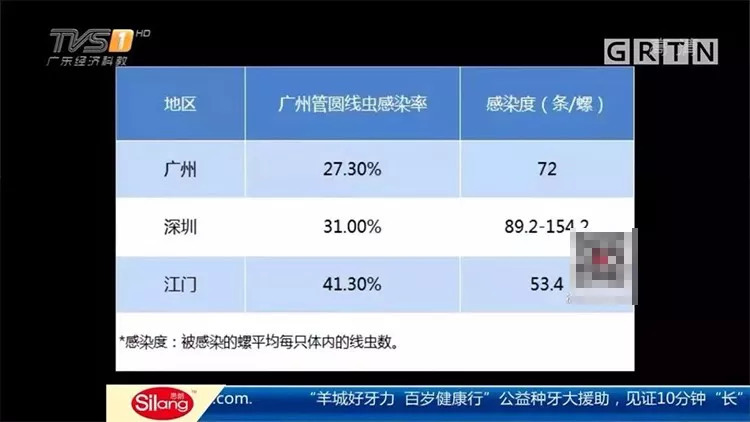 中国吃货都征服不了的非洲大蜗牛，它们是如何入侵中国的？