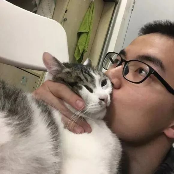 铲屎官请自重图,铲屎官请自重