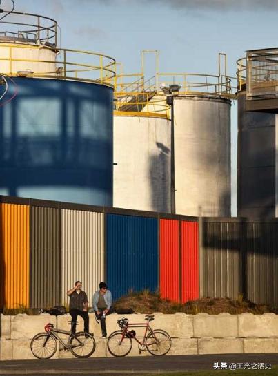 牛羊比人多十倍的新西兰，是如何成为世界前十的发达国家的？