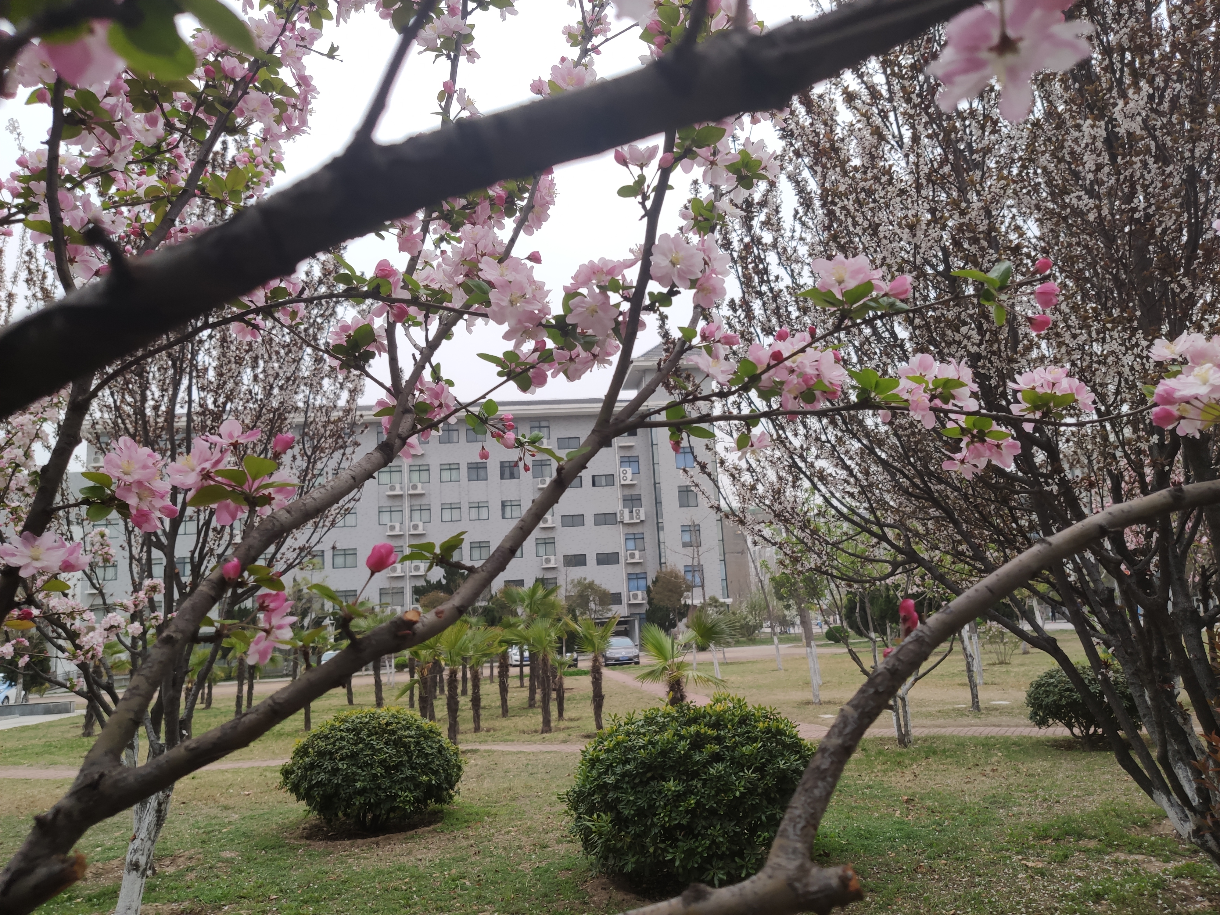 浅谈母校开封大学，来了绝不后悔的专科院校