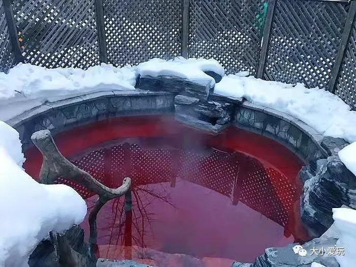 最适合带孩子去的亲子温泉,儿童玩的温泉推荐