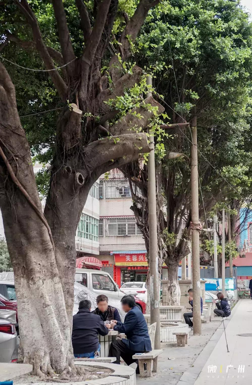 嘉禾望岗租房三个月起租,嘉禾望岗租房600元