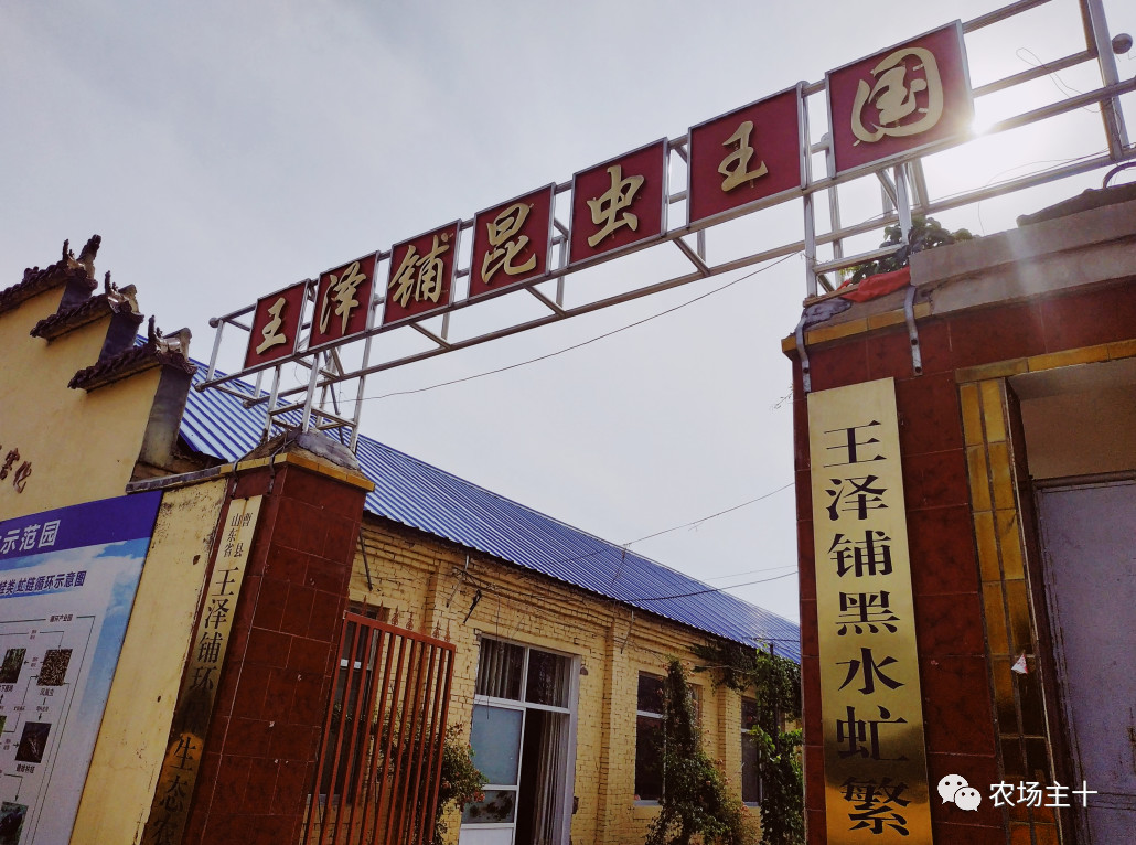 从沿街乞讨到身家亿万，“特养教父”32年的农业路堪称一部传奇史