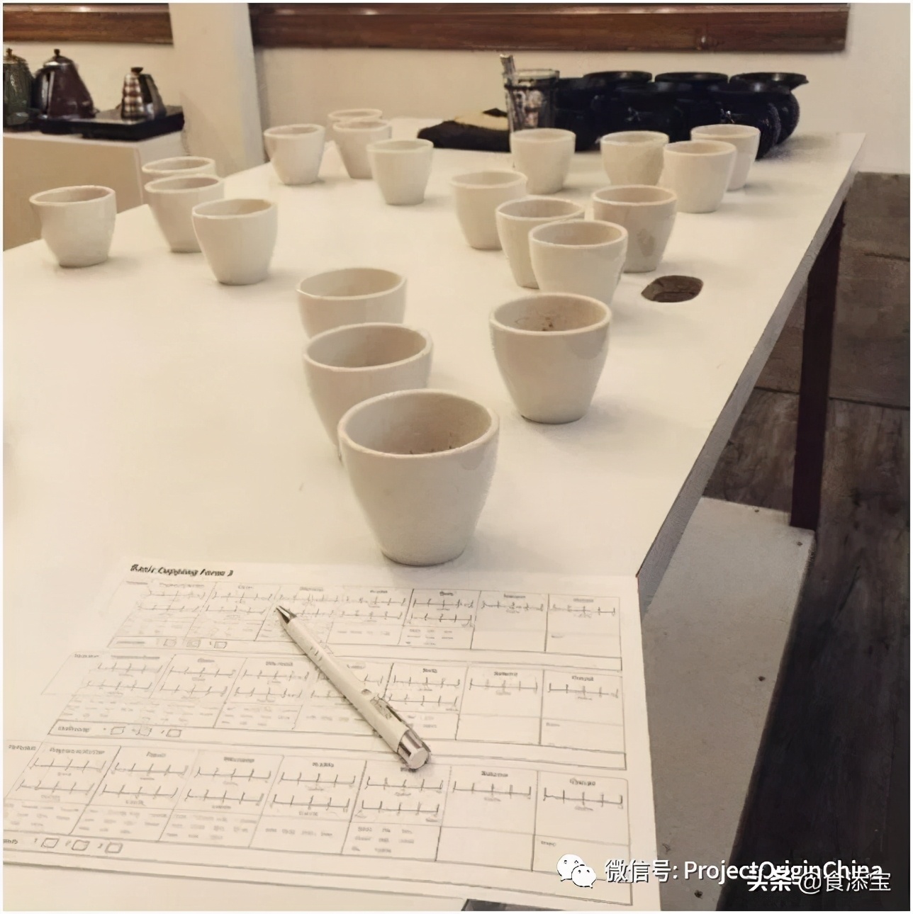 译文~如何杯测咖啡以及培养你的味觉