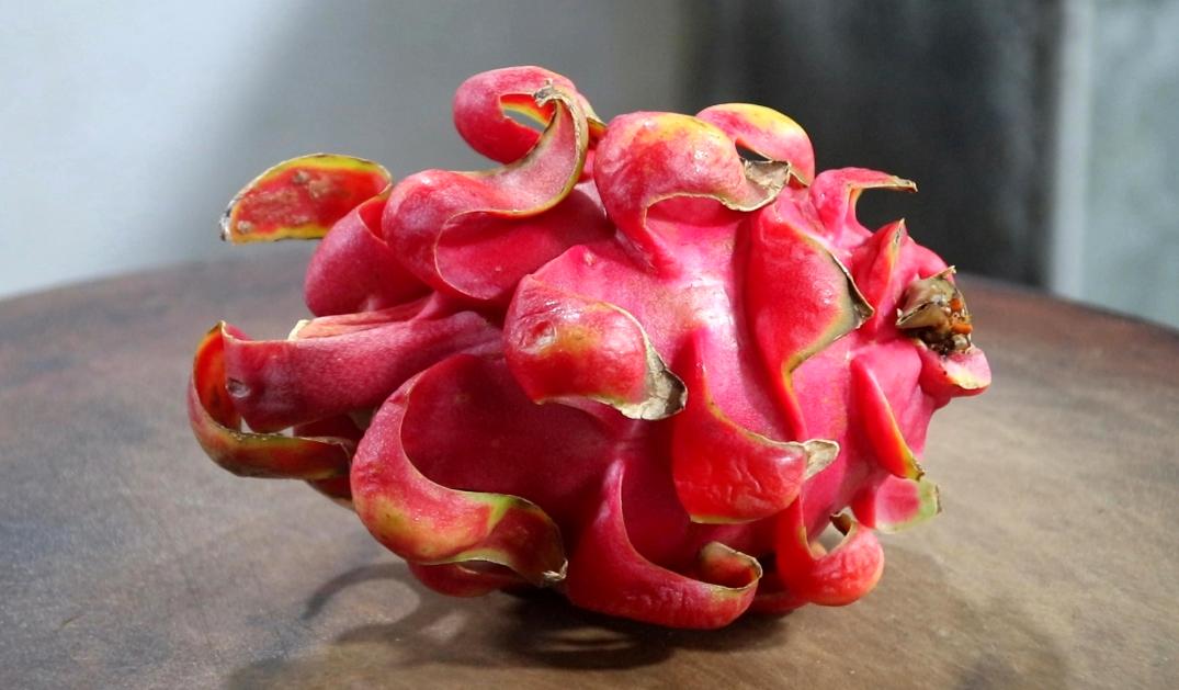 火龙果别扔做成果冻,火龙果除了直接吃还能怎么吃图文