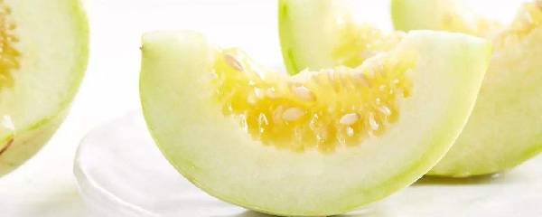 小香瓜种植视频教程,露天香瓜种植技术视频