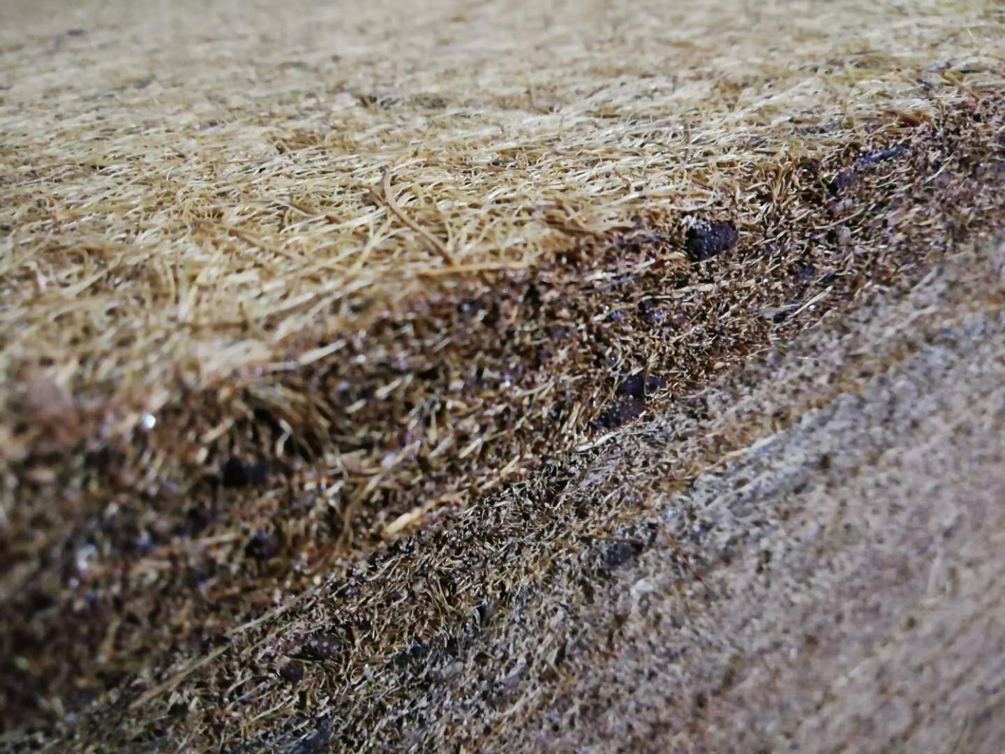 弹簧床垫与棕垫哪个环保,弹簧床垫和棕床垫哪种环保