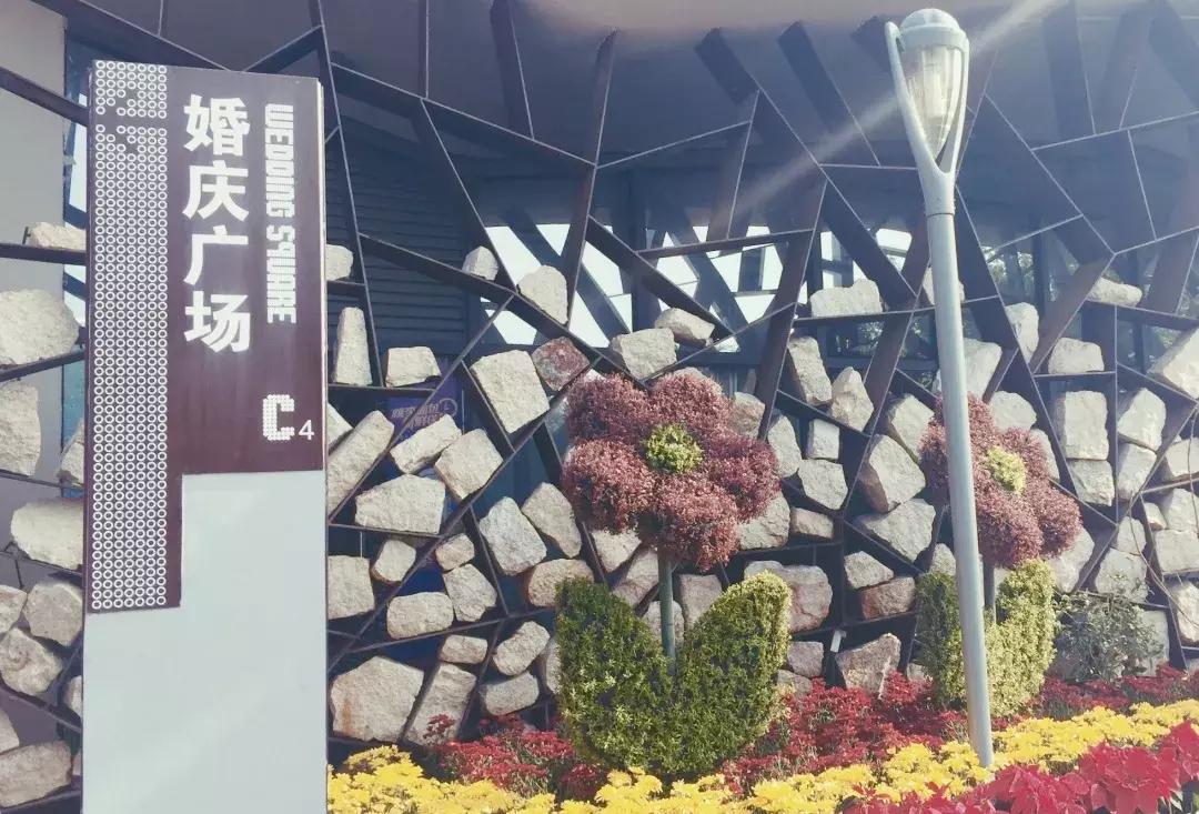 深圳湾公园这里有什么好吃的,深圳湾在哪里