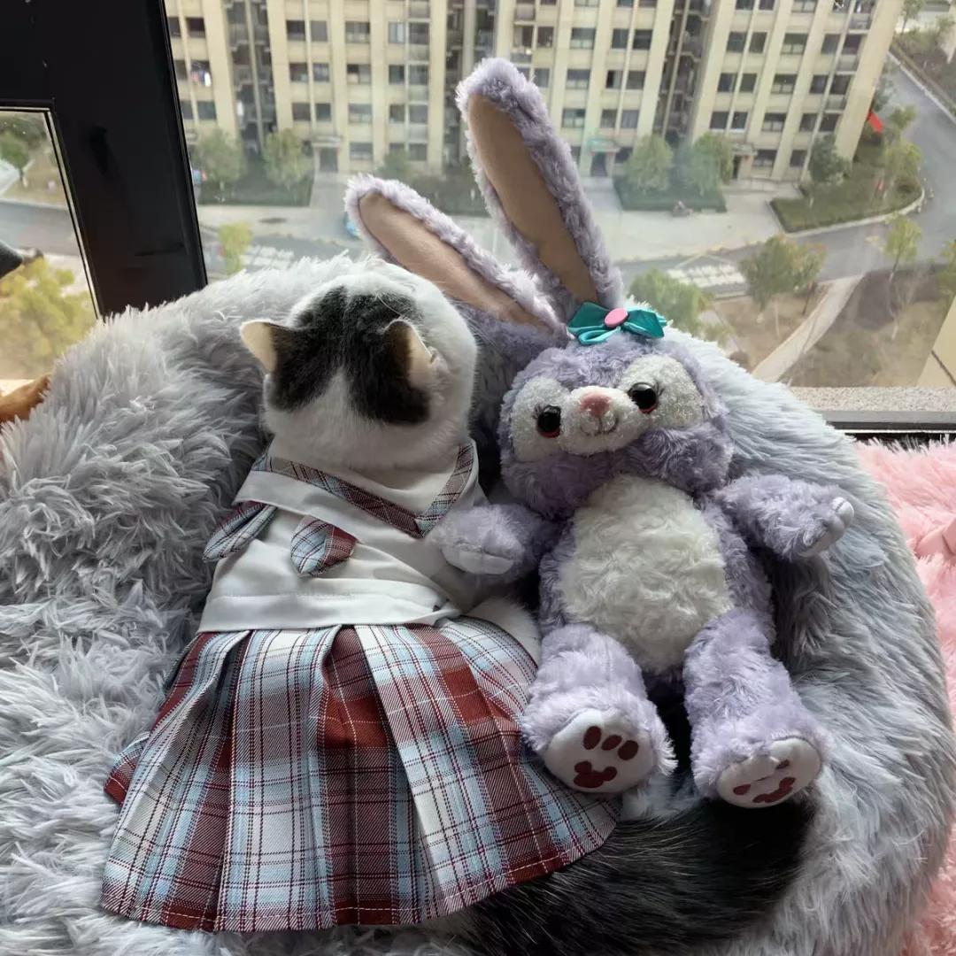 卖宠物服装一般月收入,做宠物小衣服挣钱吗