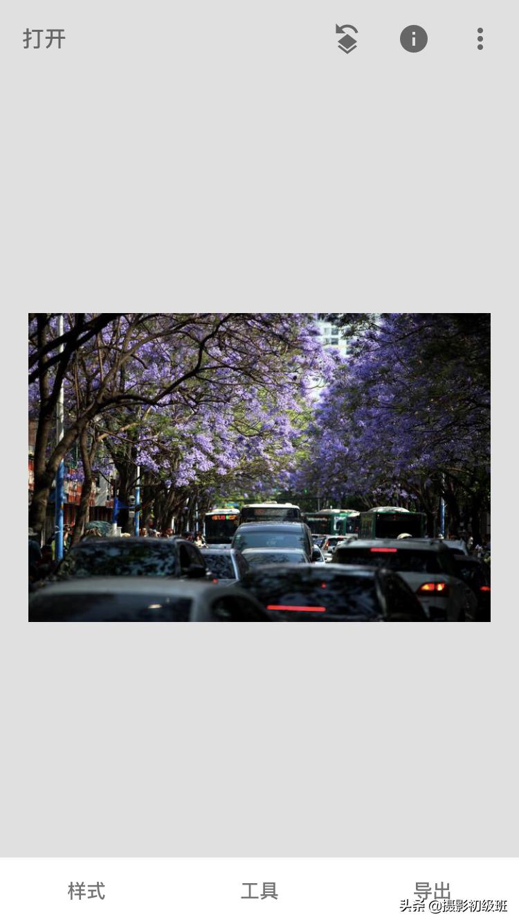 小清新摄影后期修图教程,花卉照片修图技巧