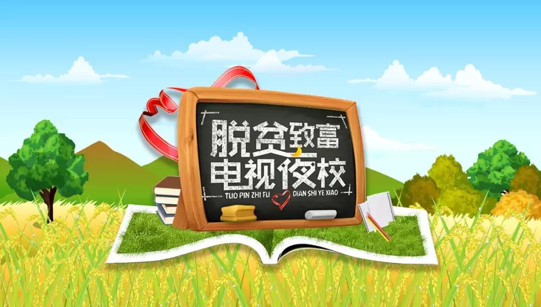 海南椰子的种植方法,椰子怎么种出椰宝