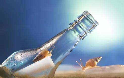 岁暮新颜,岁暮新颜粤语版