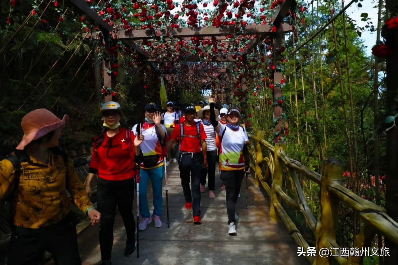 “冬日暖阳近登高望远时”2020南武当脐橙登山节精彩集锦回顾！