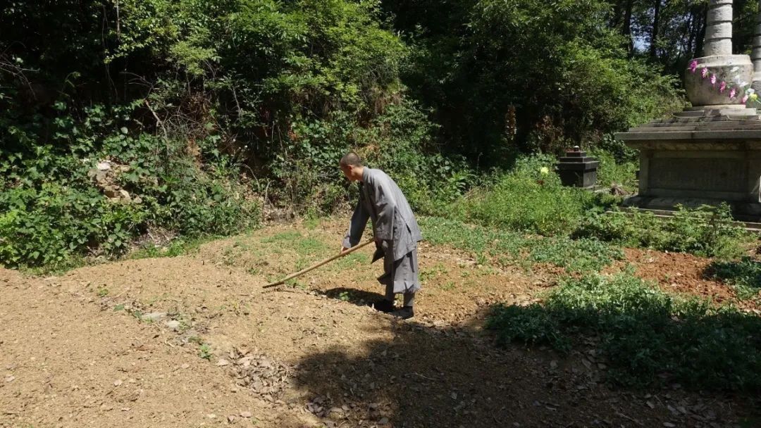 抢抓农时开展农业生产,农民纷纷抢抓春耕生产有利时机