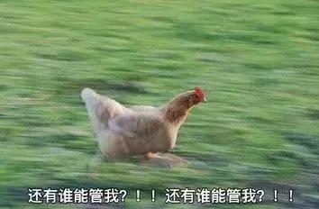 暑假减肥逆袭变白变瘦,大学生一周减肥暴瘦