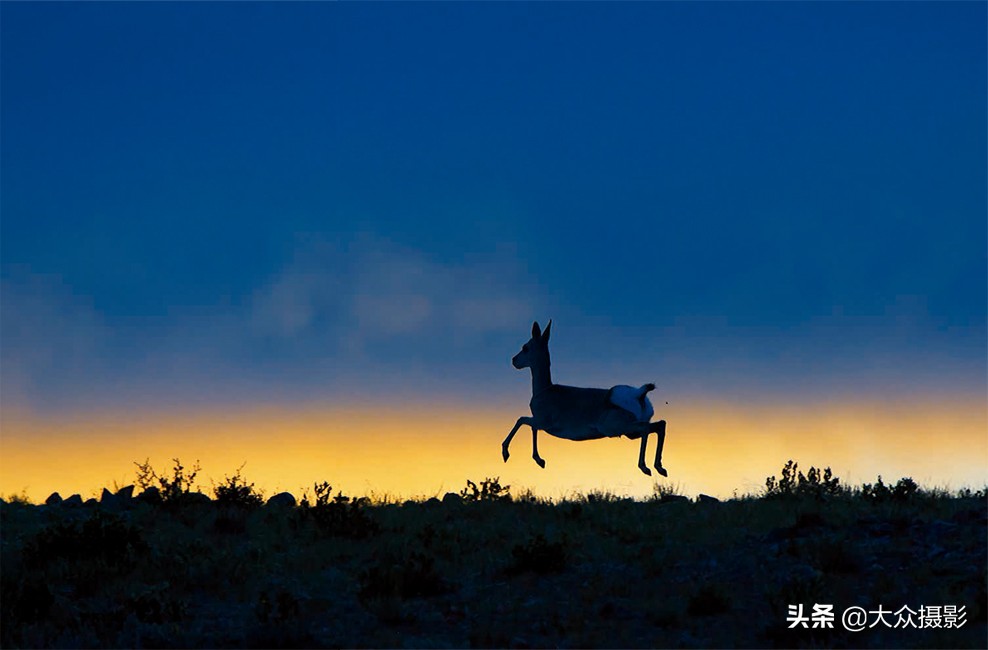美丽之上,自然生态摄影介绍