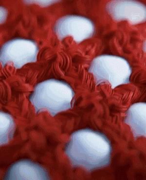 健身界的大巨头,健身2大巨头