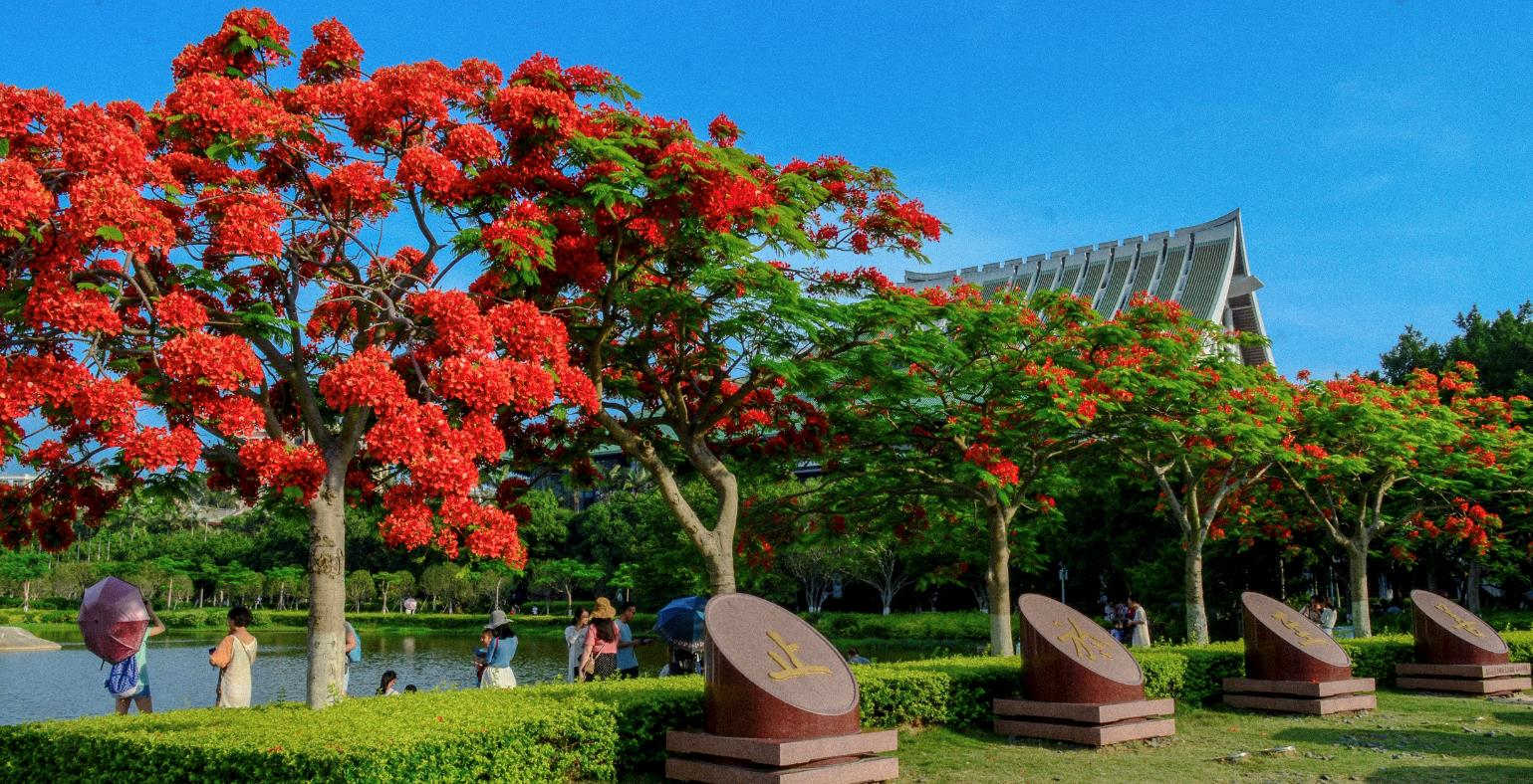 人大学姐我的三战考研历程和经验,二战南大考研经验