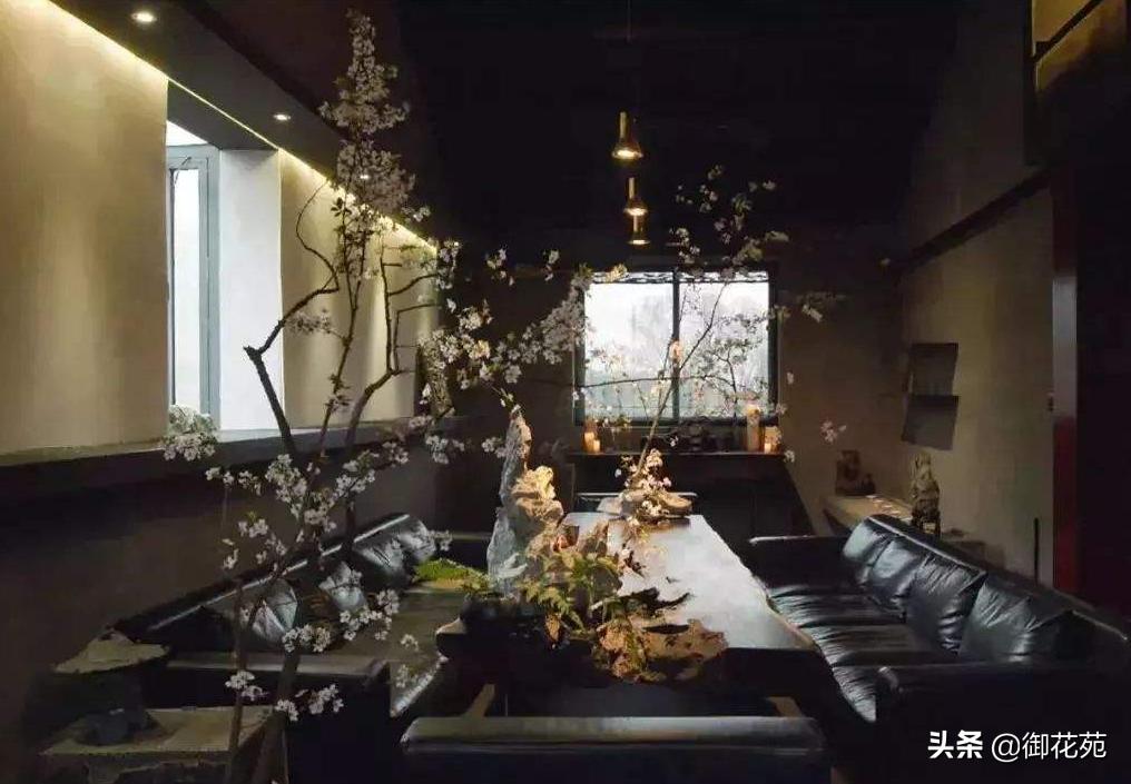 微景观杀虫,微景观怎么处理小虫子